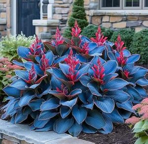 Хоста Грин Фог купить по цене от 669р. в интернет-магазине «Посадика» с доставкой почтой в в Когалыме и по всей России – [изображение №1].